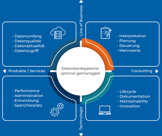 Grafik mit unseren Service zum managen von Datenbanksystemen