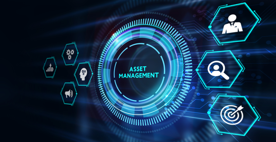 Headerbild IT Asset Management