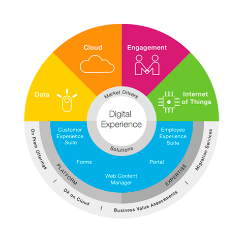 Grafik Digital Experience